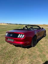 Ford Mustang 5.0 V8 GT Cabrio EU Modell 1.Hand  - Ford Mustang mit Benzin-Antrieb: Cabrio, 5.0