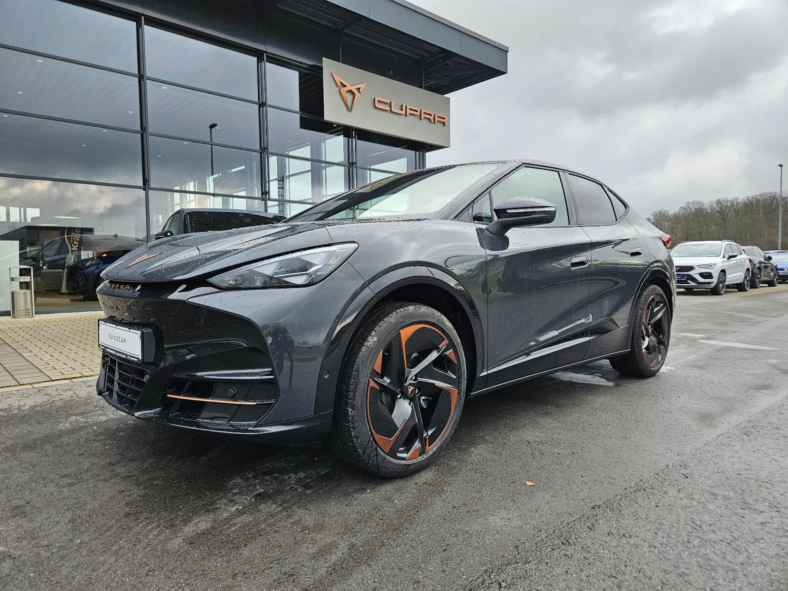 Cupra Tavascan 210 kW Endurance *PanoDach*