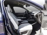 Renault Scenic E-Tech Iconic 220 Long Range AV-Paket GJR - Renault Scenic