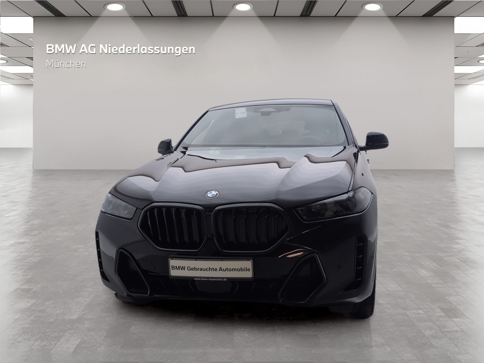 BMW X6 xDrive30d M Sport Standheizung AHK Harman K foto 3