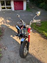 Honda Monkey Z125 MA - Honda Motorräder in Dortmund