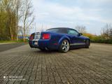 Ford Mustang Shelby GT350 Carbrio  - Ford Mustang: Gt350