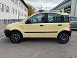 Fiat Panda 1.2 Trekking 4X4 *TÜV11/27*BREMSEN NEU* - Fiat Panda: 1.1