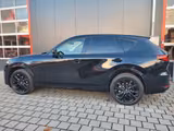 Mazda CX-60 3.3 e-SKYACTIV Diesel AWD Homura  - Mazda CX-60 mit Panoramadach
