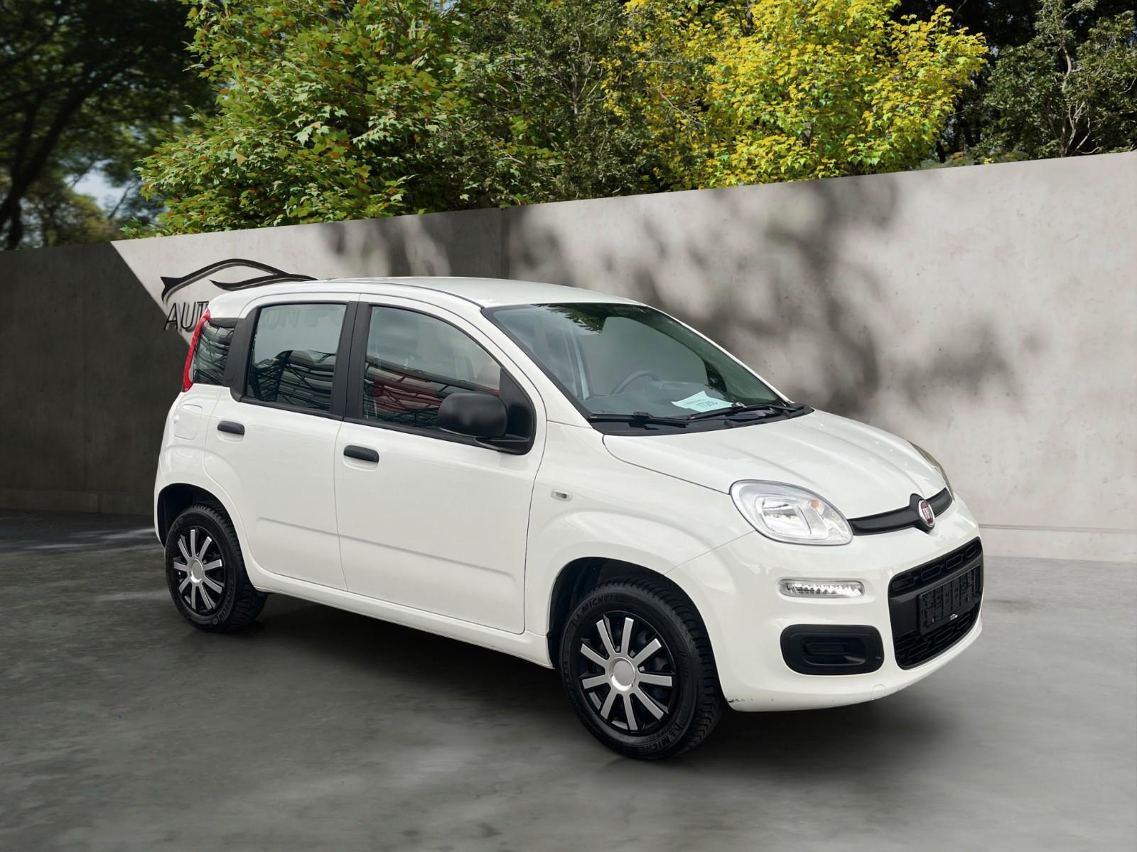 Fiat Panda Easy/1.Hand/Klima/Service 7/26 NEU!