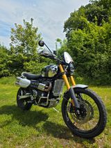 Triumph Scrambler XE Chrom Edition wie NEU - TRIUMPH BONN