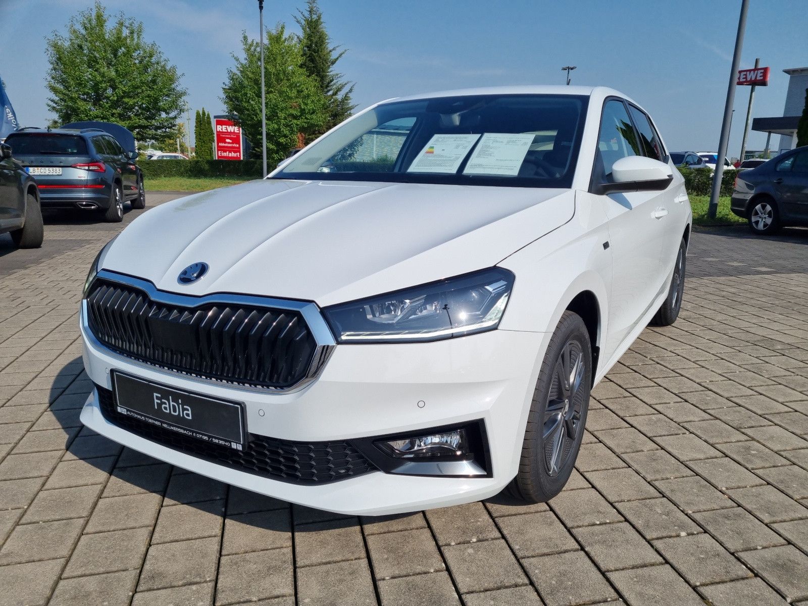 Fahrzeugabbildung SKODA Fabia Tour 1,0 TSI 85KW/115PS WINTER DesignLodge