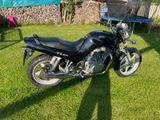 Suzuki VX 800 - Angebote entsprechen deinen Suchkriterien
