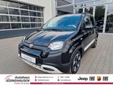 Fiat Pandina Cross CarPlay DAB PDC Apple CarPlay Andr - Fiat New Panda Tageszulassungen