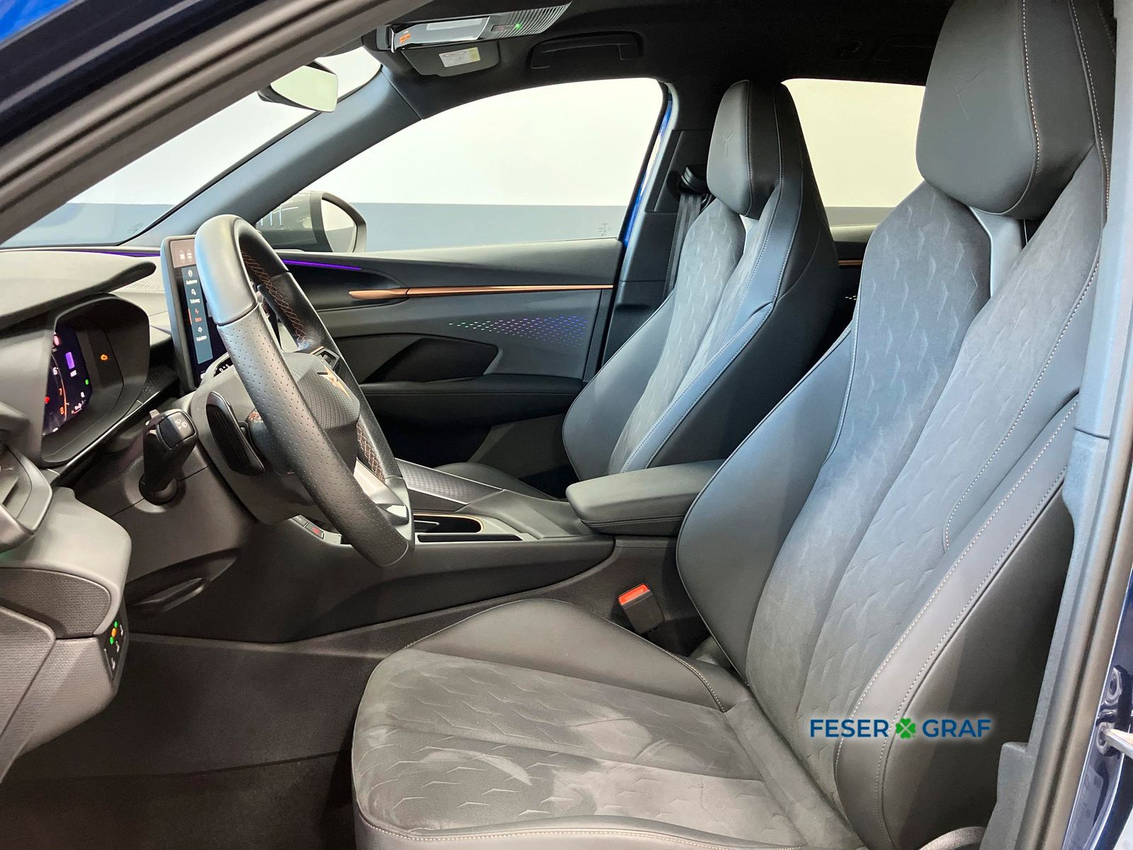 Cupra Terramar - Bild 6