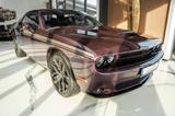 Dodge Challenger 3,6 KAMERA LEDER XENON TOP - gebrauchte Dodge Challenger aus dem Jahr 2020