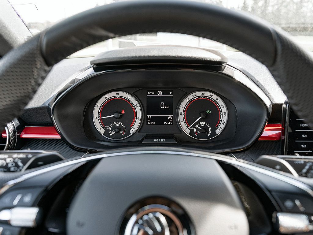 Fahrzeugabbildung SKODA Fabia 1.0 TSI DSG Monte Carlo LED NAVI RÜCKF-KA.