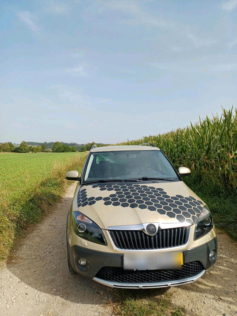 Skoda Fabia 2011 — photo 11