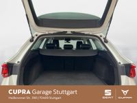 Cupra Leon - Vorschau Bild 6