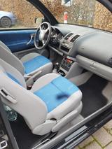 Volkswagen Lupo 1.0 BASIS Basis - Volkswagen Lupo: Schiebedach