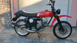 Kreidler Mustang  - KREIDLER MUSTANG