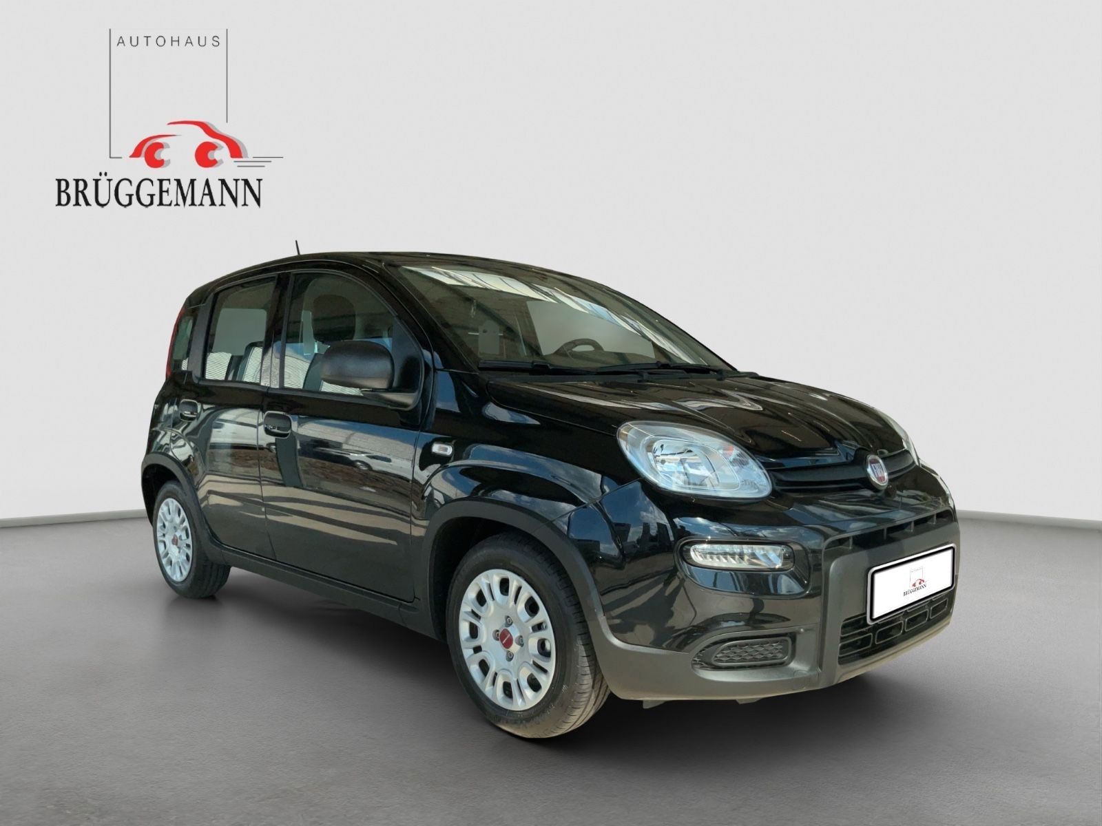 Fahrzeugabbildung Fiat Panda 1.0 Hybrid