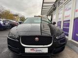 Jaguar XF Pure *Euro6*Navi*Leder* SpHltAss*Start/Stop* - gebrauchte Jaguar XF aus dem Jahr 2016