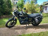 Triumph Scrambler 986MG2 - Angebote entsprechen deinen Suchkriterien