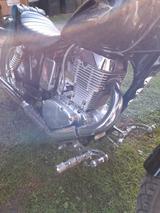 Suzuki Savage LS 650 - Angebote entsprechen deinen Suchkriterien