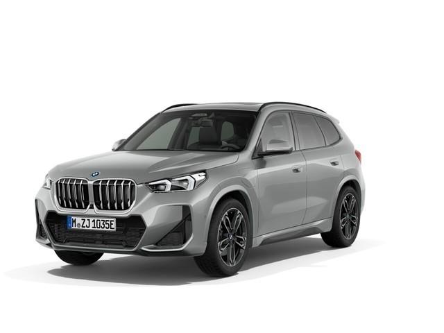 BMW X1 xDrive30e Steptronic M Sportpaket Panorama