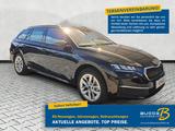 Skoda Octavia Combi 1.5 eTSI DSG Selection / AHK schw. - Skoda Octavia Tageszulassungen