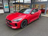 Kia Stinger 2.0 TGDI GT-Line PANO|Headup|360°|4xSHZ - Kia: 3.0