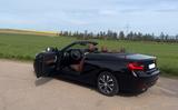 BMW 218i Cabrio | nur 64.800 km | Leder | gepfl. - BMW: Cabrio, Bmw6