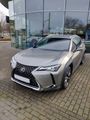 Lexus UX 250h, Style Edition, Safety System