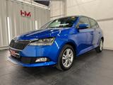 Skoda Fabia 1.0 TSI Ambition/Navi/Kam/LED/ACC/MirrorL - Skoda Fabia: Ambition
