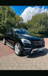 Mercedes-Benz Mercedes ML 350 - : Mercedes Ml