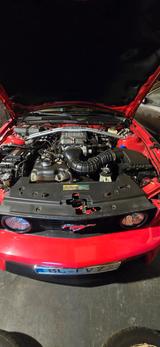 Ford Mustang - gebrauchte Ford Mustang aus dem Jahr 2007