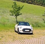 MINI One Cabrio - weiße MINI One Cabrio