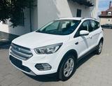 Ford Kuga Trend - Ford Gebrauchtwagen in Gütersloh