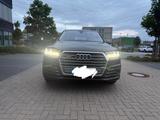Audi SQ7 4.0 TDI quattro tiptronic - - Audi SQ7 aus 2017