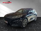Ford Kuga ST-Line leichter Hagelschaden Sportpaket - Ford Kuga