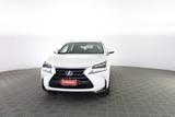 Lexus LEXUS Other NX NX Hybrid 4WD Luxury - : Other