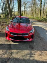 Kia Stinger 2.0 T-GDI GT Line GT Line - Kia Stinger aus 2019