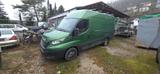 Iveco Daily 35S18HA8 CNG Kastenwagen Automatik Euro 6d