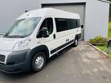 Fiat Westfalia Amundsen Maxi  - Fiat Maxi
