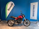Benelli Leoncino 500 TRAIL - KM 0 - BENELLI LEONCINO 500 TRAIL
