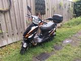 Other Longija 50 ccm - Offers