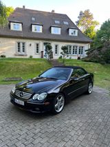 Mercedes-Benz CLK500 AMG Paket Cabriolet N... - Mercedes-Benz: Clk AMG Paket