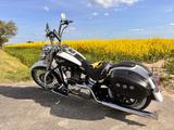 Harley-Davidson Softail FLSTNI / Softail Deluxe - HARLEY-DAVIDSON 2006 SOFTAIL