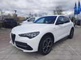 Alfa Romeo Stelvio 2.2 JTDM Veloce Q4 Navi Kamera ACC Leder - Alfa Romeo Stelvio aus 2024