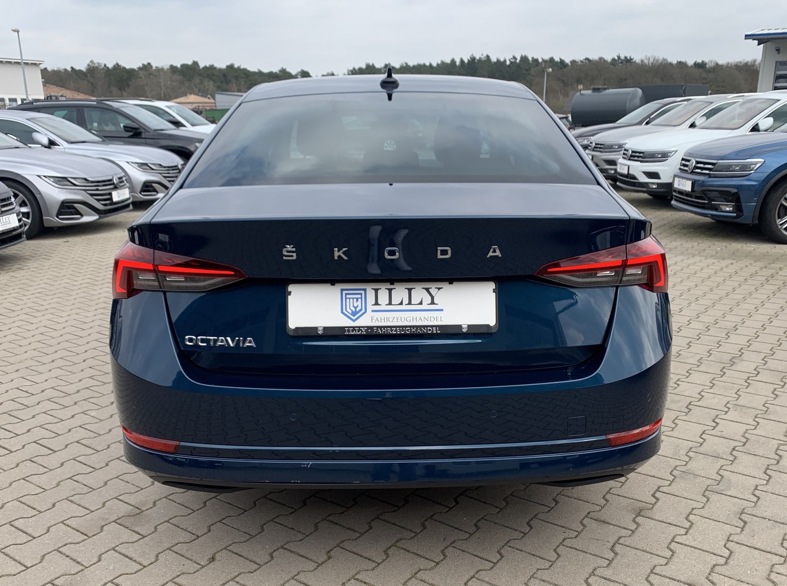 Fahrzeugabbildung SKODA Octavia 2.0 TDI*First Edition*Leder*Matrix-Beam*