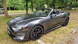 Ford Mustang Cabrio - Ford Mustang in Krefeld