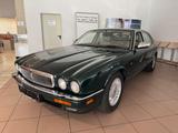 Jaguar Daimler Double Six neuer  TÜV für H-Kennzeichen - Jaguar Gebrauchtwagen von 1994