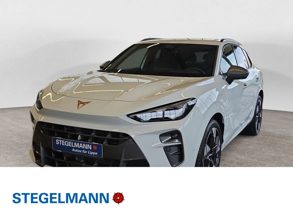 Image of Cupra Terramar
