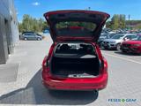 Ford Focus 1.5 EcoBoost Titanium LED KAMERA DAB KEYLE - Ford Focus: D